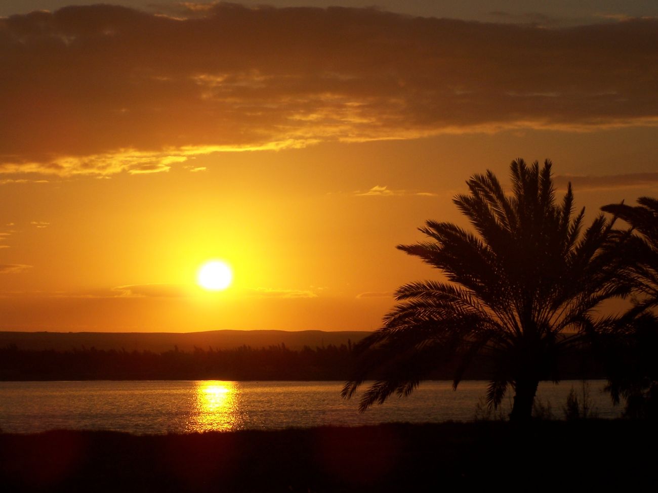 egypt sunset